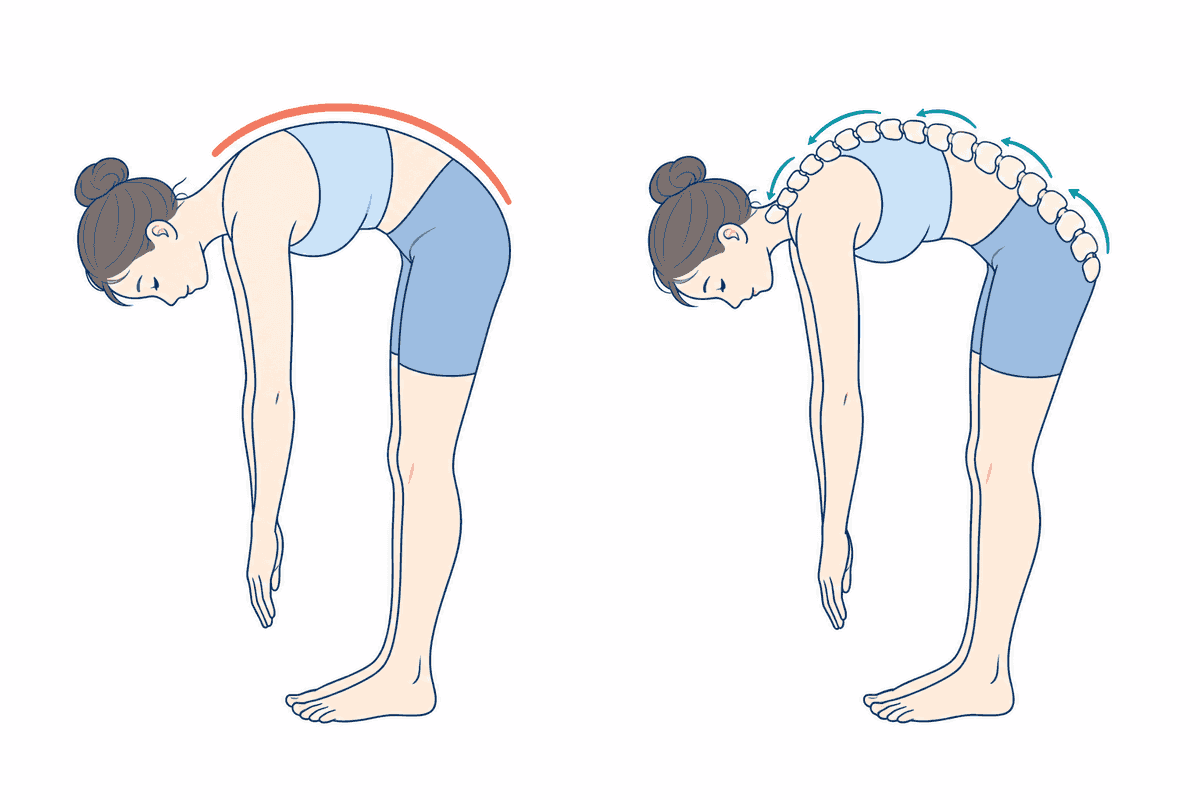 筋を引っ張るストレッチと、骨格を分けて動かす実践の違い